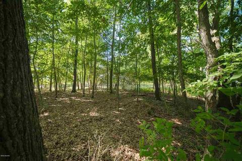 616 Riverview, Whitehall, MI 49461 photo 44