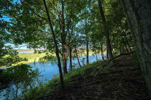 616 Riverview, Whitehall, MI 49461 photo 35
