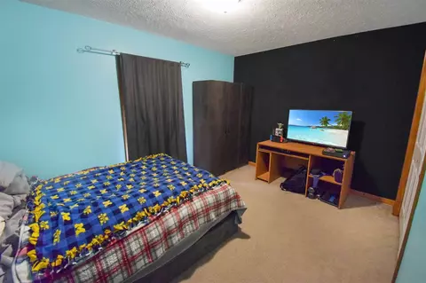 6117 Wheatlands, Scotts, MI 49088 photo 18