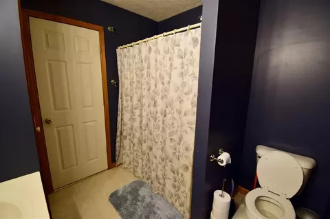 6117 Wheatlands, Scotts, MI 49088 photo 16