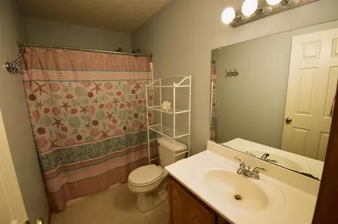 6117 Wheatlands, Scotts, MI 49088 photo 19