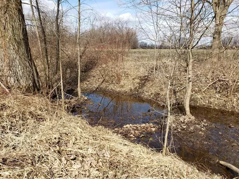 V/l 48th Street, Bangor, MI 49013