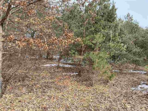 10736 W Small Ct #53, Canadian Lakes, MI 49346