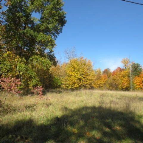 0 Ryno, Coloma, MI 49038