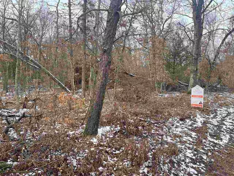2667 W W Cres, Baldwin, MI 49304 photo 3