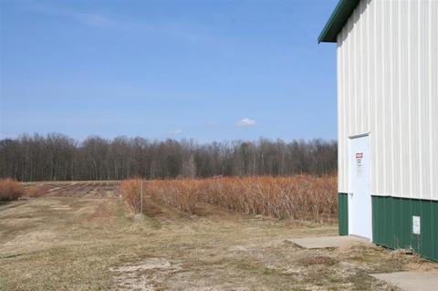 V/l Co Rd 380, Grand Junction, MI 49056
