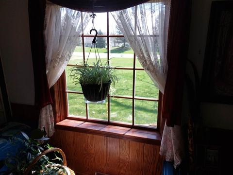 1403 E Bertrand, Niles, MI 49120 photo 25