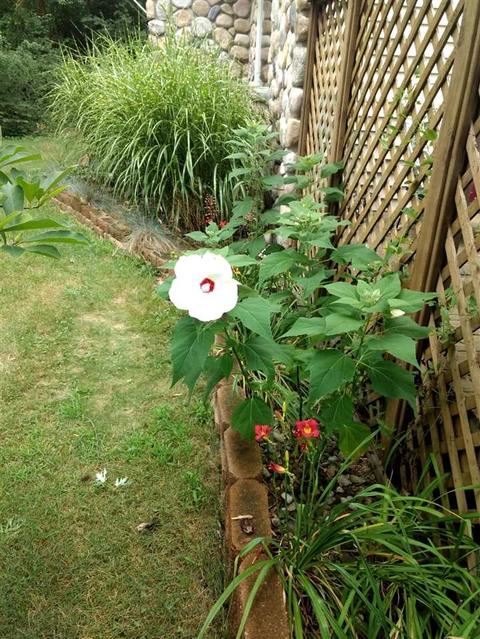 1403 E Bertrand, Niles, MI 49120 photo 82