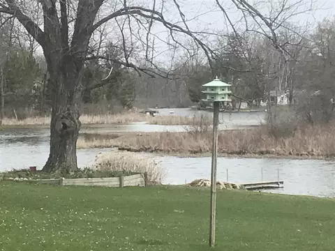 5696 Paradise, Reading, MI 49274 photo 28