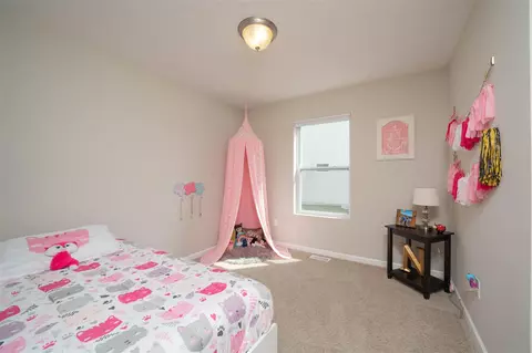 59204 Silvergrass, Mattawan, MI 49071 photo 12