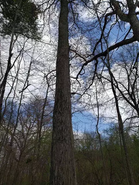 896 Double Eagle, Otsego, MI 49078 photo 6