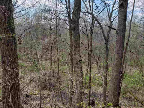 896 Double Eagle, Otsego, MI 49078 photo 5