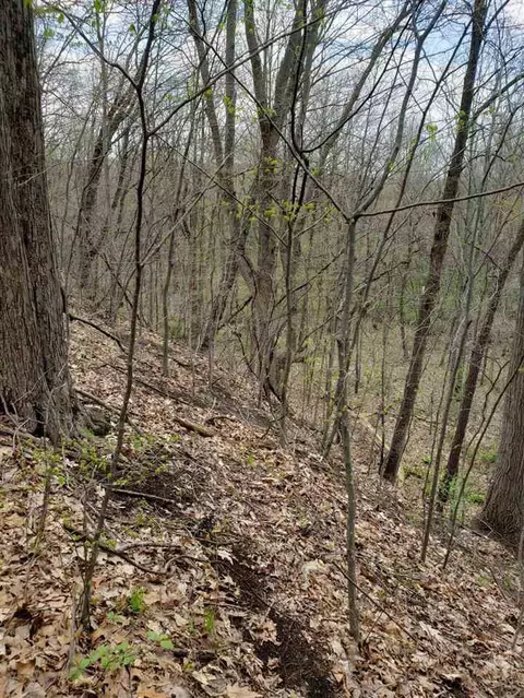 896 Double Eagle, Otsego, MI 49078 photo 7