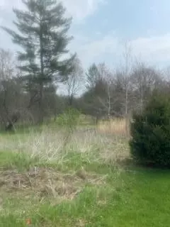 2980 S Forman, Baldwin, MI 49304 photo 24