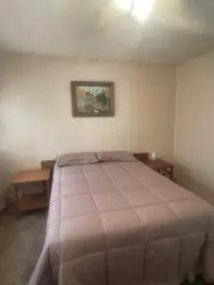2980 S Forman, Baldwin, MI 49304 photo 20