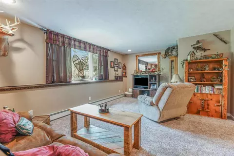 8546 Bingham, Newaygo, MI 49337 photo 10