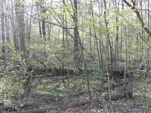 0 Camden, Waldron, MI 49288 photo 9