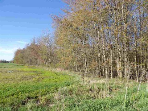 0 Camden, Waldron, MI 49288 photo 2