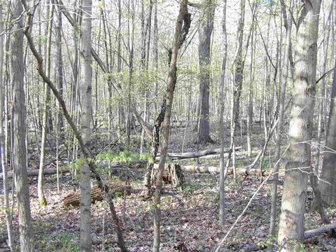 0 Camden, Waldron, MI 49288 photo 6