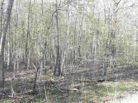 0 Camden, Waldron, MI 49288 photo 7