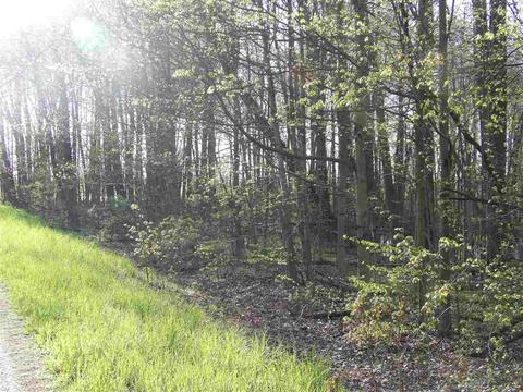 0 Camden, Waldron, MI 49288