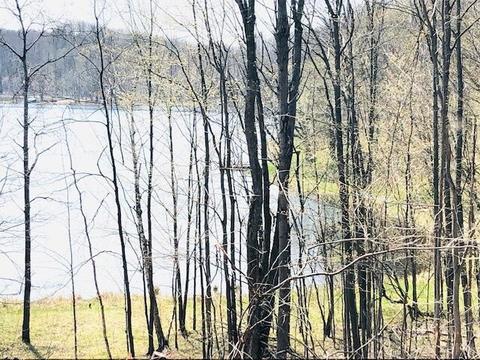 0000 Vaud, Reed City, MI 49677