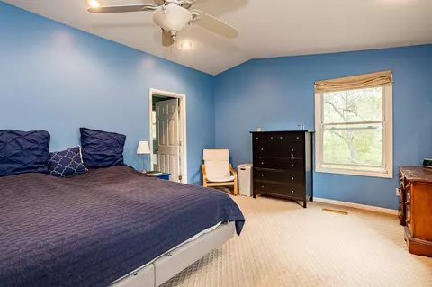 538 Cosmopolitan, Marshall, MI 49068 photo 30