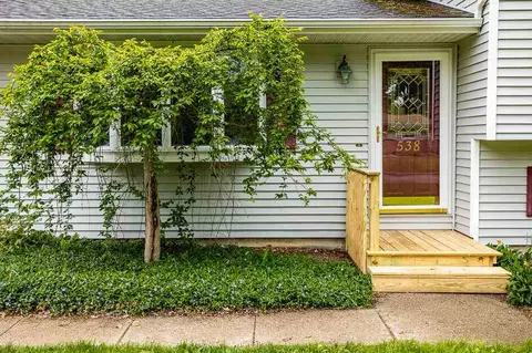 538 Cosmopolitan, Marshall, MI 49068 photo 44