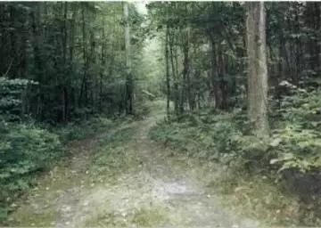 4958 E Baseline, White Cloud, MI 49349 photo 2