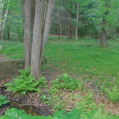 9450 Ferris, Grant, MI 49327 photo 17