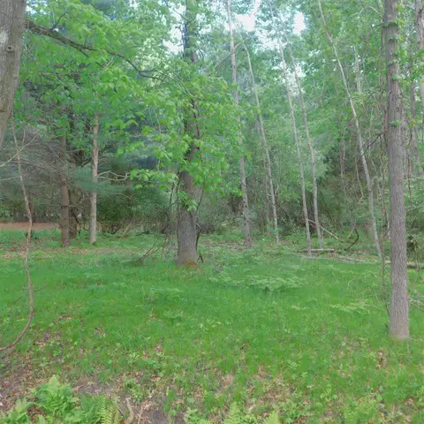 9450 Ferris, Grant, MI 49327 photo 18