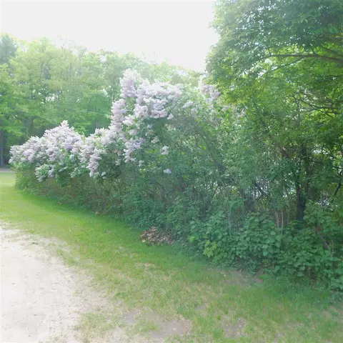 9450 Ferris, Grant, MI 49327 photo 24