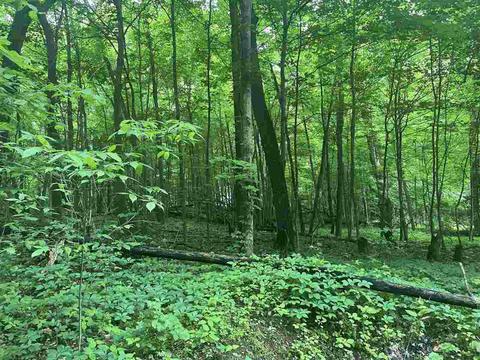V/l Chippawa Circle, Sherwood, MI 49089