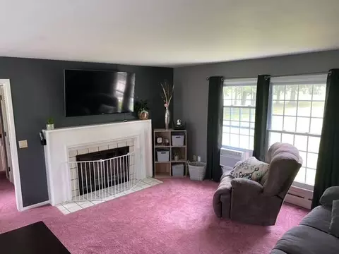 175 E 120th, Grant, MI 49327 photo 26