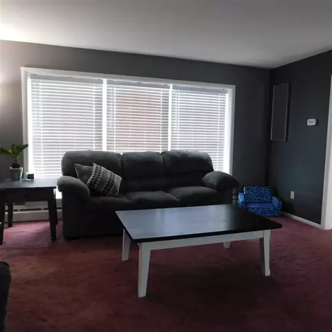 175 E 120th, Grant, MI 49327 photo 8