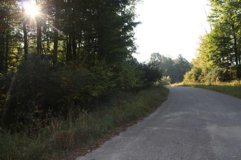 Lot 11 0 Fox Glove, Big Rapids, MI 49307