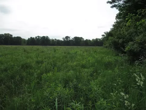 V/l Thru Roamin, Jackson, MI 49201 photo 9
