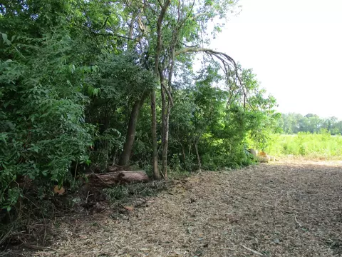 V/l Thru Roamin, Jackson, MI 49201 photo 3