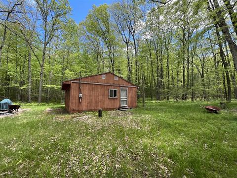 13268 N Honeysuckle, Bitely, MI 49309