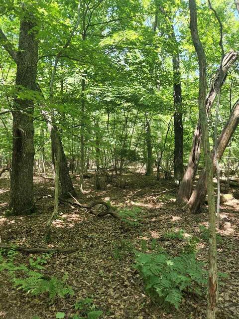 V/l Chippewa, Montague, MI 49437