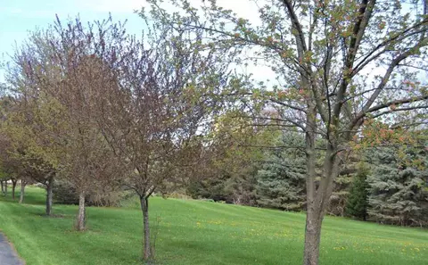 4995 W Us 12, Buchanan, MI 49107 photo 34