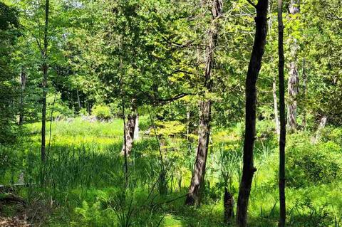 9750 Stony Crk, Canadian Lakes, MI 49346