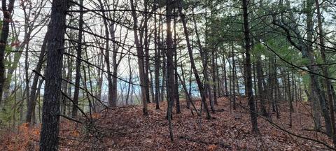 V/l W Topping, Pentwater, MI 49449