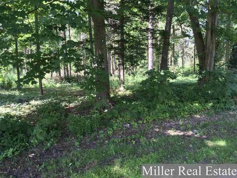 V/l Shriner St, Hastings, MI 49058