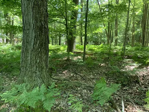range LOT S 31, Mears, MI 49436