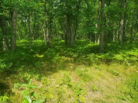 00 Chestwood, Idlewild, MI 49642