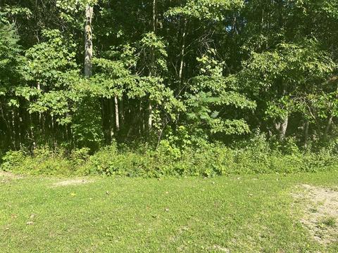 6400 Spring Hl # 5, South Haven, MI 49090