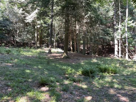 1786 S Sable Pointe, Shelby, MI 49455