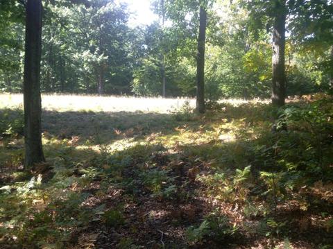 57 Acres Novadoc, Mears, MI 49436 photo 14