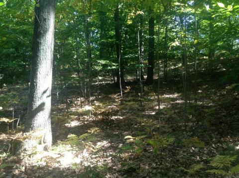57 Acres Novadoc, Mears, MI 49436 photo 16